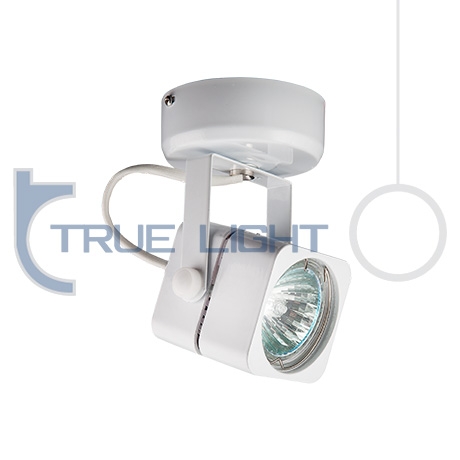 TL - 710204