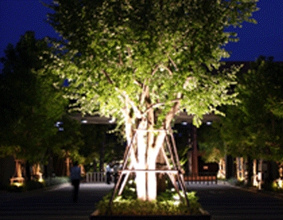 NOBLE CUBE, Pattanakarn  Exterior Lighting